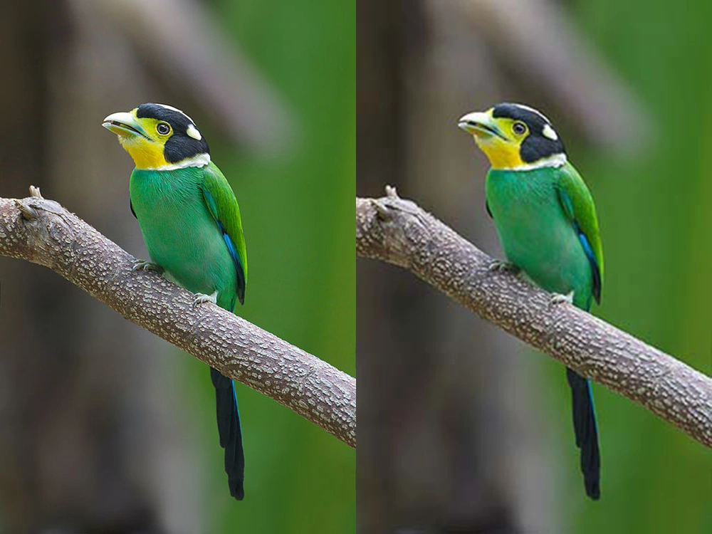 jpeg image compression for web performance